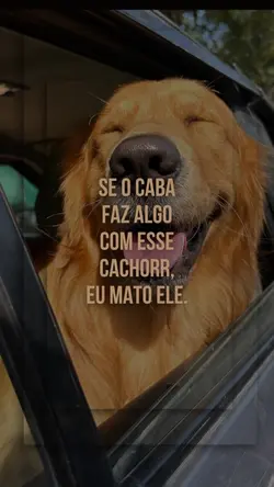 se o caba mexe 😠🐶