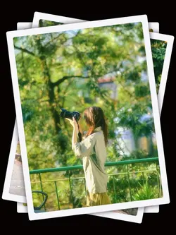 6Pic Aesthetic Frame