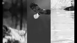 askvevatanturkiyem01