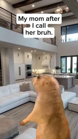 sorry mom