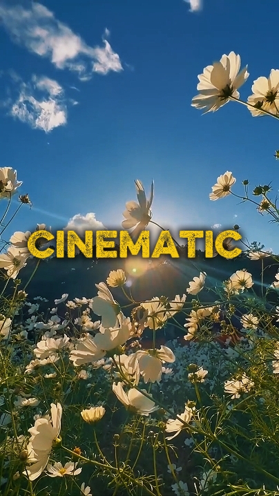 Video or Photo 