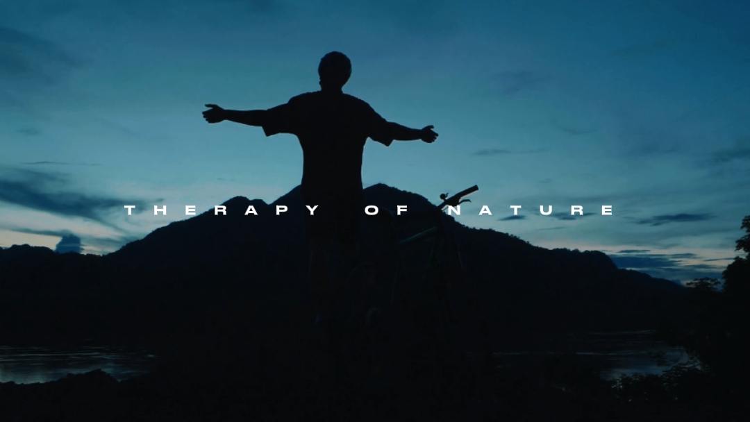 THERAPIE DER NATUR