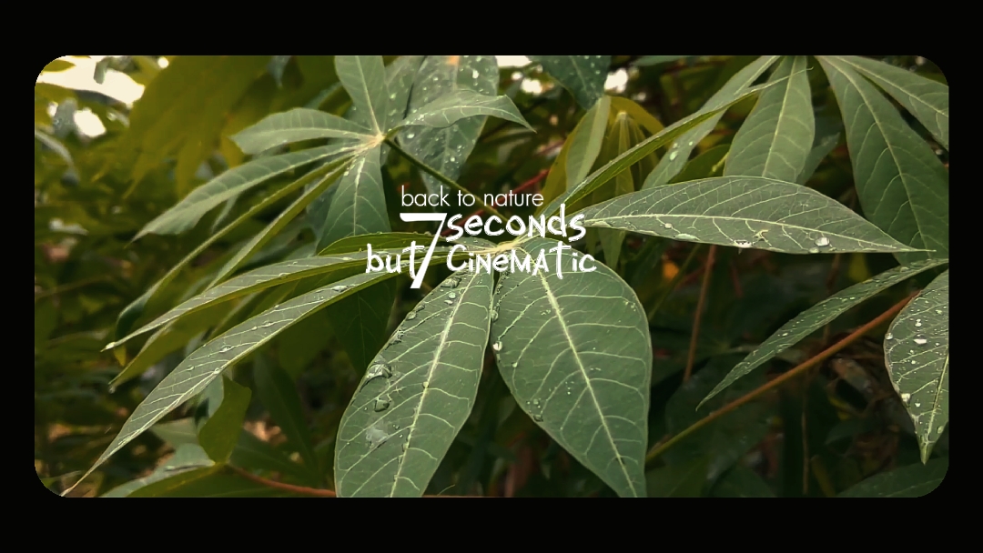 Cinematic Aestetic 