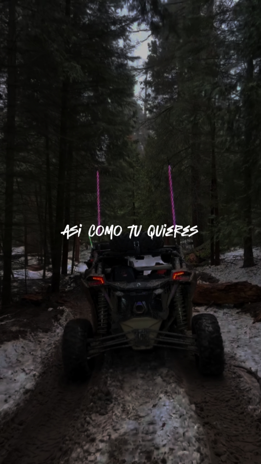 ASCOMO TU QUIERES
