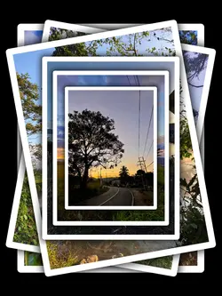 6Pic Trend Aesthetic