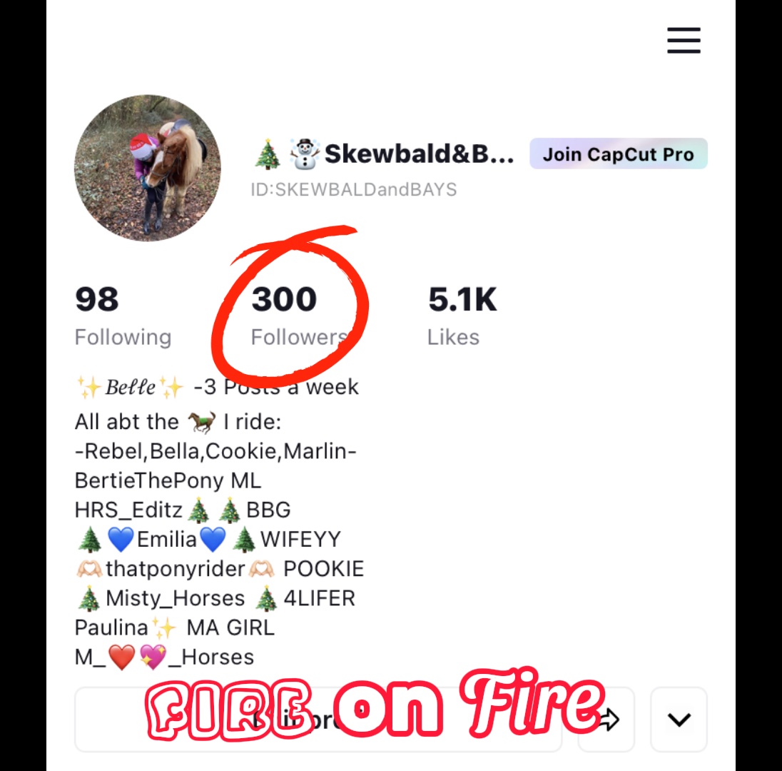 TYSM FOR 300 🤯 xx