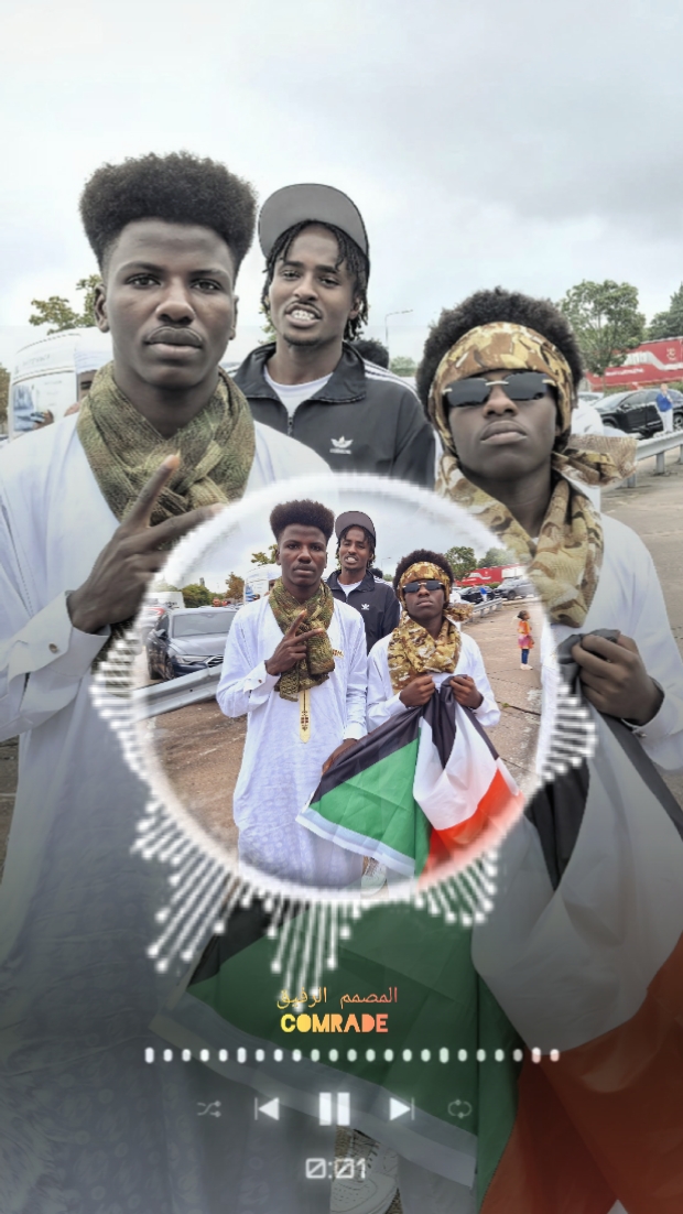 المصمم الرفيق 