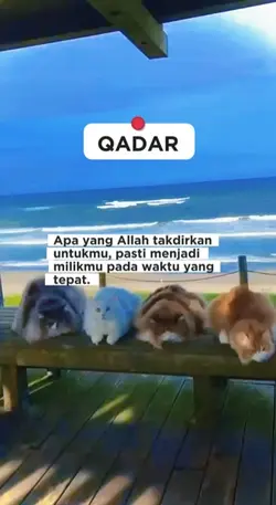 Qadar,Sabar,Tawakkal