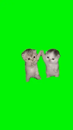 dancing cat meme