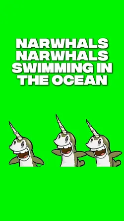 Narwhals Swimming