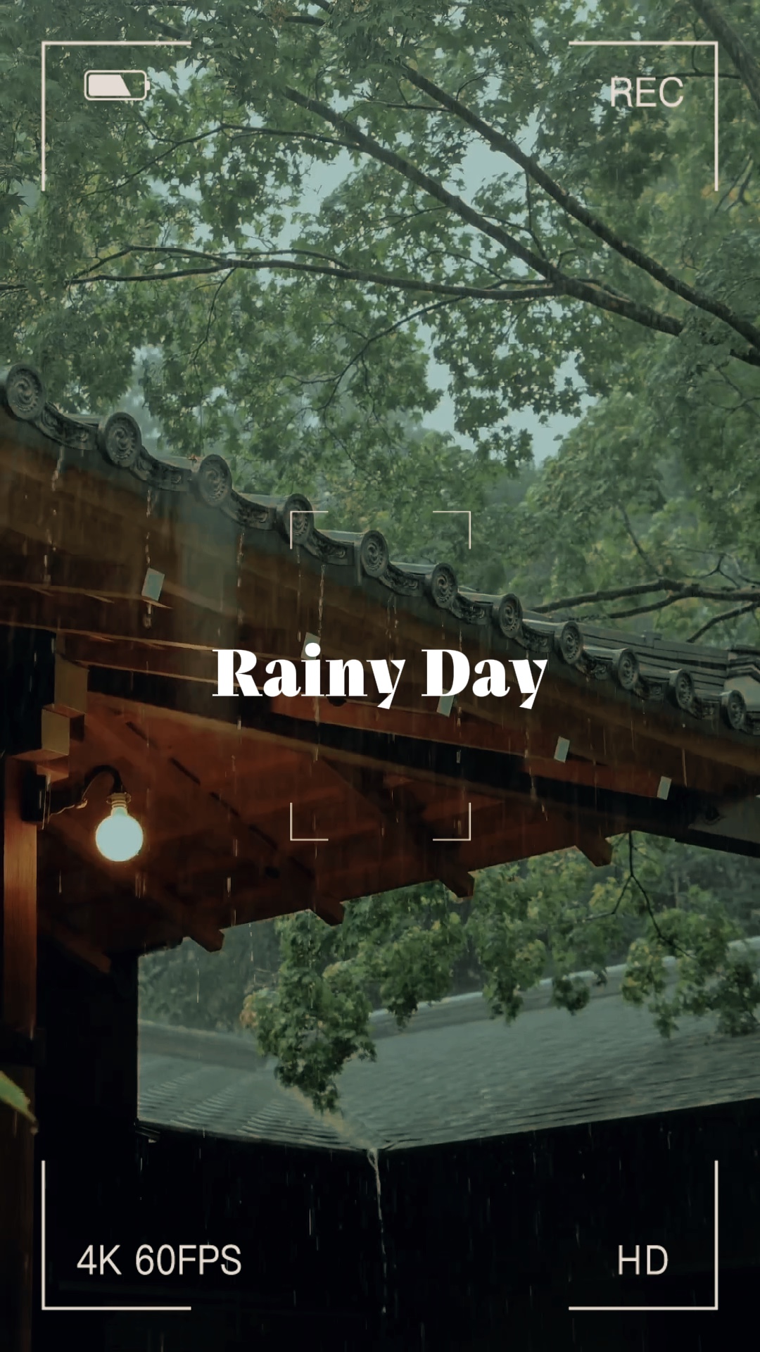 Rainy day