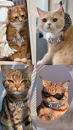 4ช่อง มาแรงใน