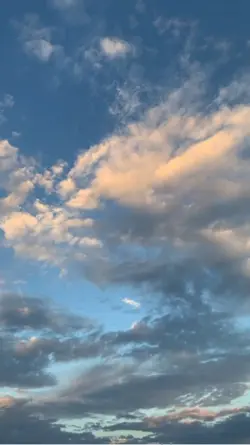 Hareketli video