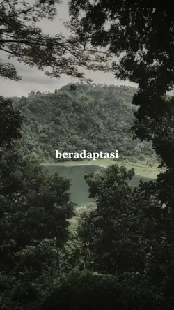 beradaptasi