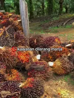 kawasan dilarang