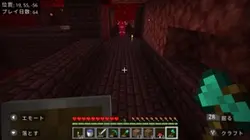 動画1枚だけ!