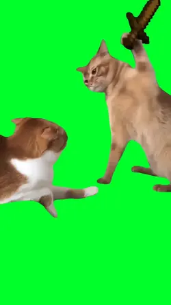 Minecraft cat fight