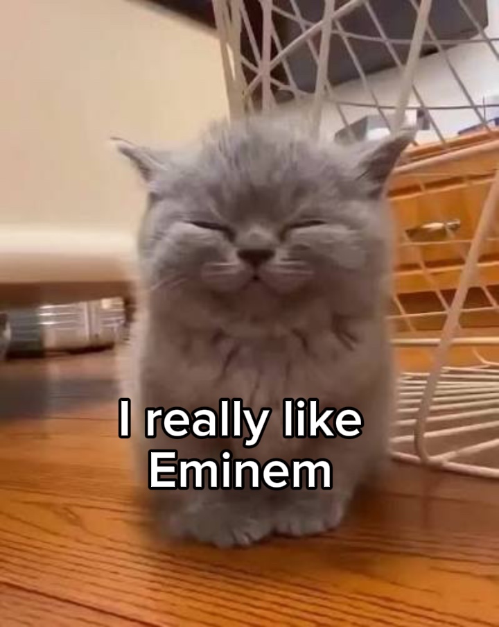 Me gusta mucho Eminem