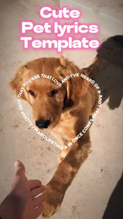 Pet lyrics ❤️🐶🐈