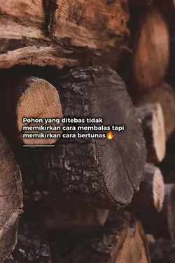 Pohon Yang Ditebas