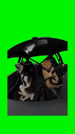 Crazy driver meme