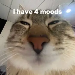 I Have 4 Moods
