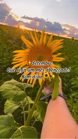 ✨Setembro ✨