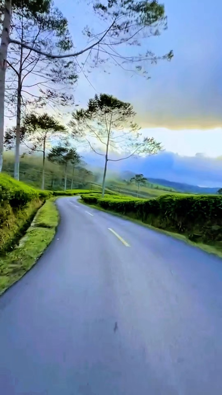 3 vidéo clip HD 