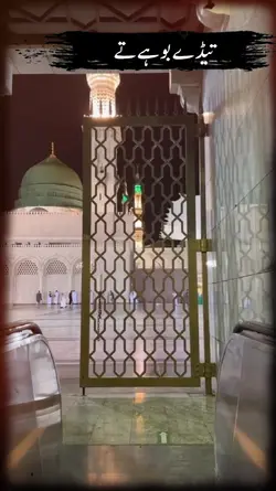 بڑی حسرت ہئ نعت