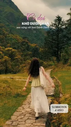 Cỏ dại và hoa dành