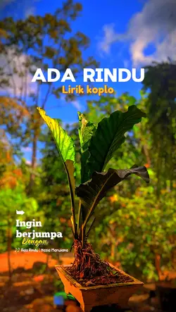 Lirik dangdut