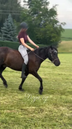 SMOOTH SLOWMO REMIX 