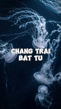 2 ẢNH MÀU NHẠT