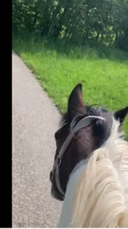 ♥️Freiheit ♥️