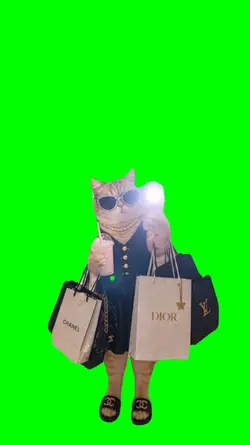 CAT RICH GIRL
