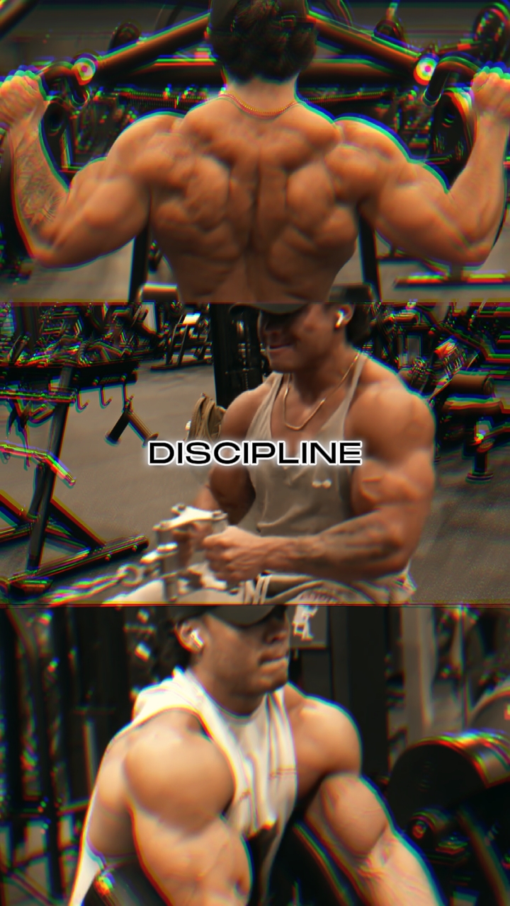 DISCIPLINA