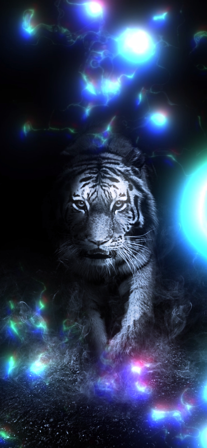 TIGERS LAIR
