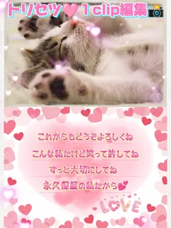 トリセツ/バレンタインなどに