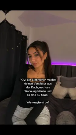 POV Ventilator Dieb