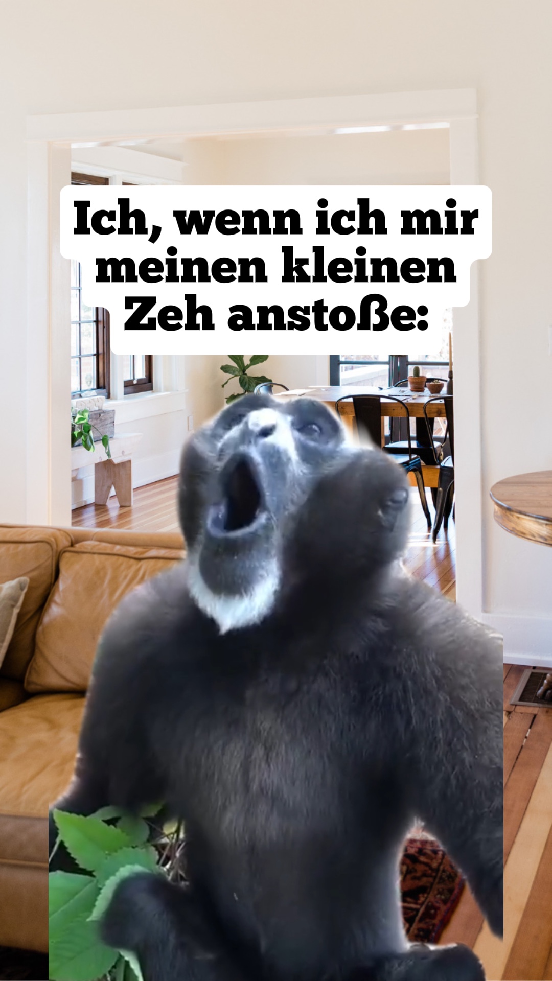 Affe schreit Meme