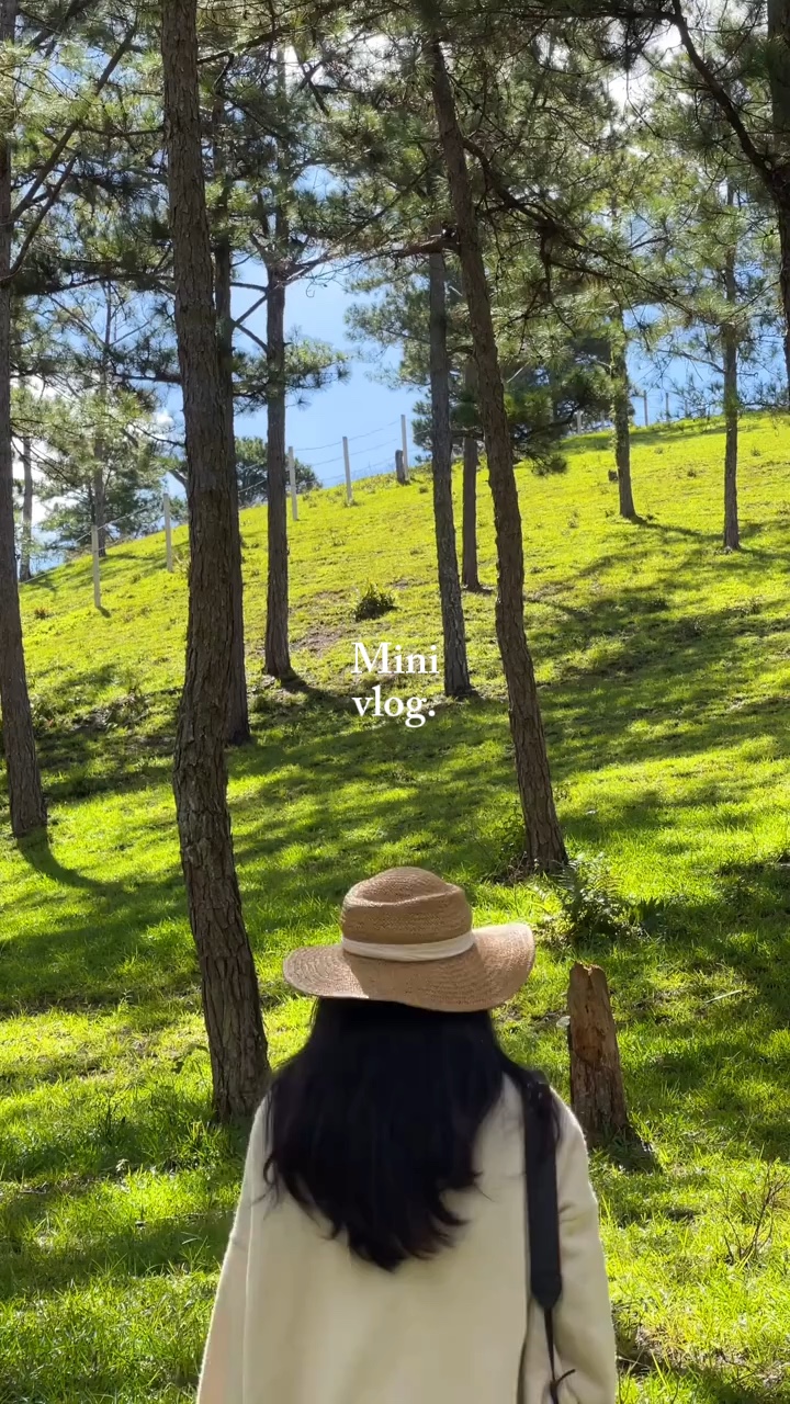 Mini vlog