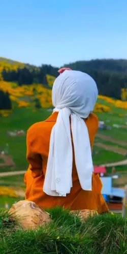 laila or majnu bhi