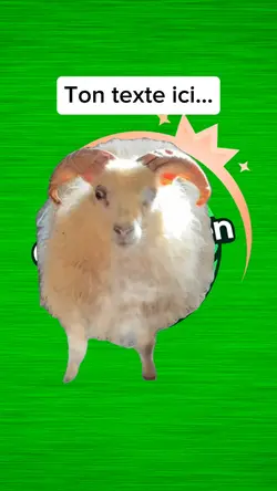 mouton enervé
