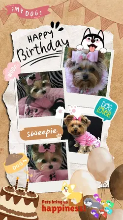 happy birthday pets