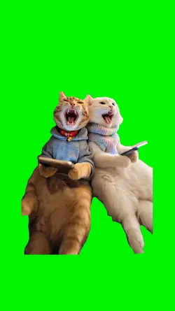 Funny Phone Cats