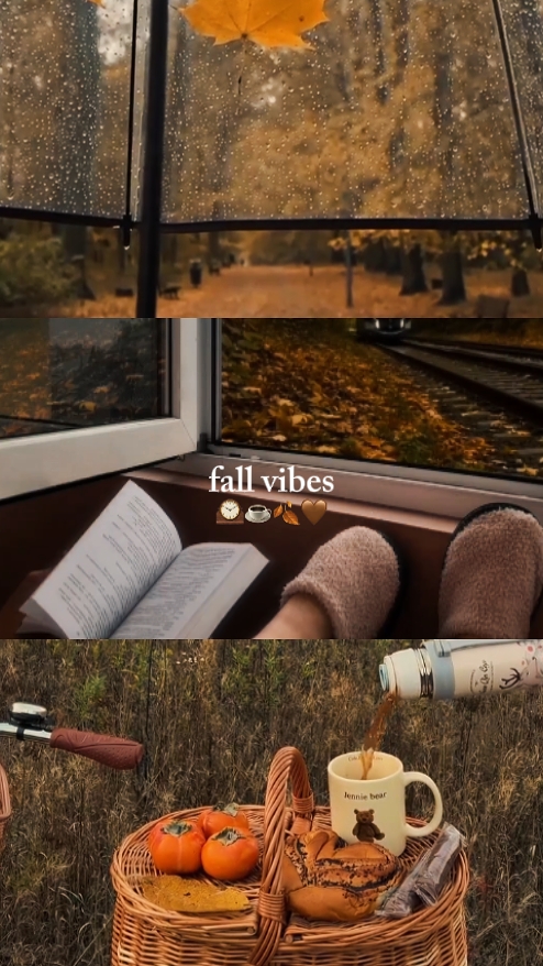 fall vibes