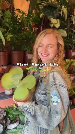 PLANT PARENT LIFE