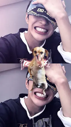 JJ × ANJING JOGET 