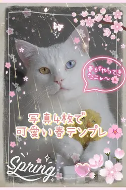 春にぴったり　可愛い　写真4枚