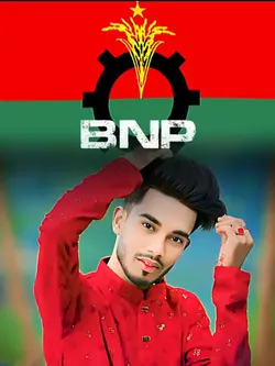 BNP power